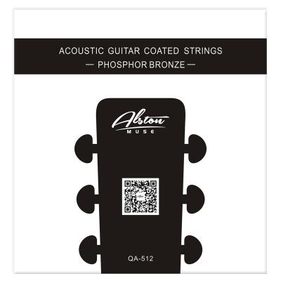 QA-512 AcousticStrings - copy
